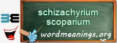 WordMeaning blackboard for schizachyrium scoparium